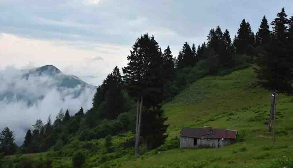 Oğuz boylarının göç hikayesinin anlatılacağı belgeselde Trabzon'daki yayla göçlerine de yer verilecek