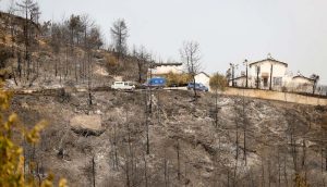 Muğla'da 66 bin hektar orman yandı
