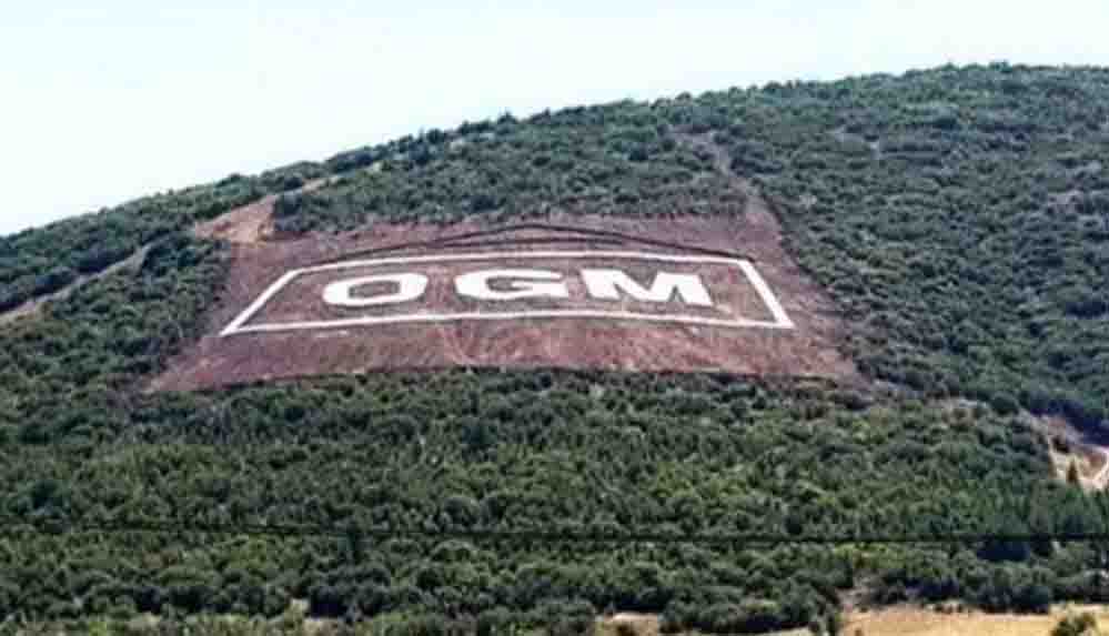 Sayıştay raporuna ortaya çıktı Orman Genel Müdürlüğü envanter çıkarmamış