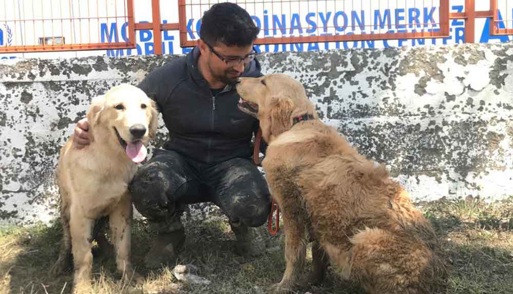 Sel-nedeniyle-şantiyede-mahsur-kalan-iki-köpek-iş-makinesiyle-kurtarıldı