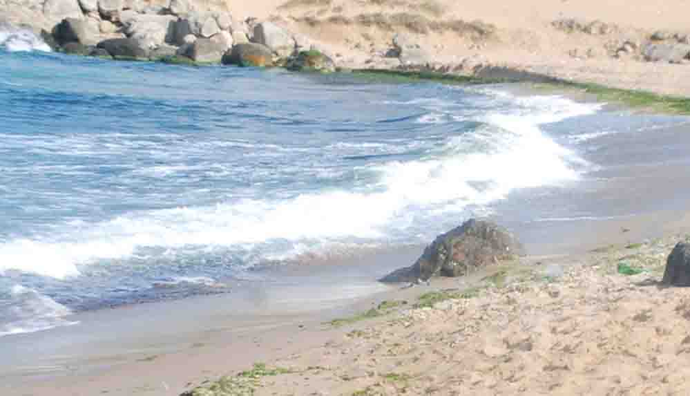 Şile'den sonra Beykoz sahillerinde de denize girmek yasaklandı