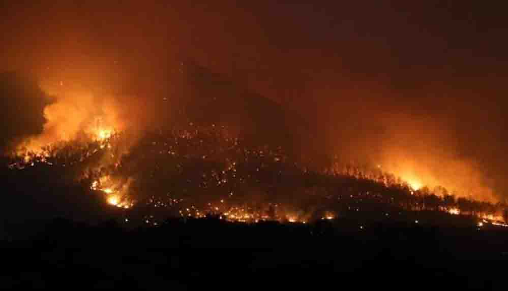 İçişleri Bakanı Soylu, orman yangınlarına ilişkin sabotaj iddialarına cevap verdi: "300'e yakın ihbar geldi"