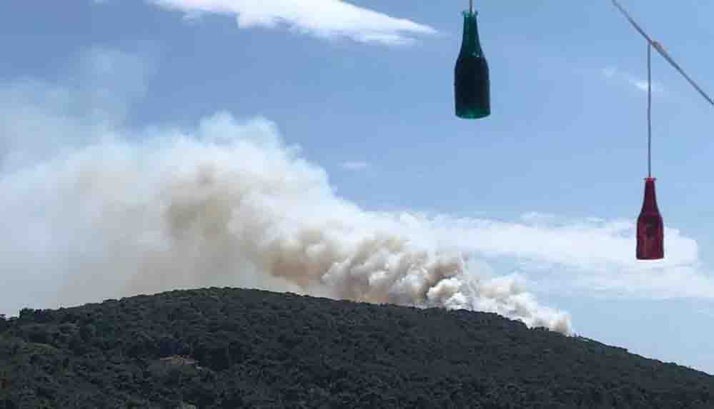 Son Dakika... Heybeliada'da yangın