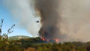 Çanakkale'nin Ezine'de orman yangını