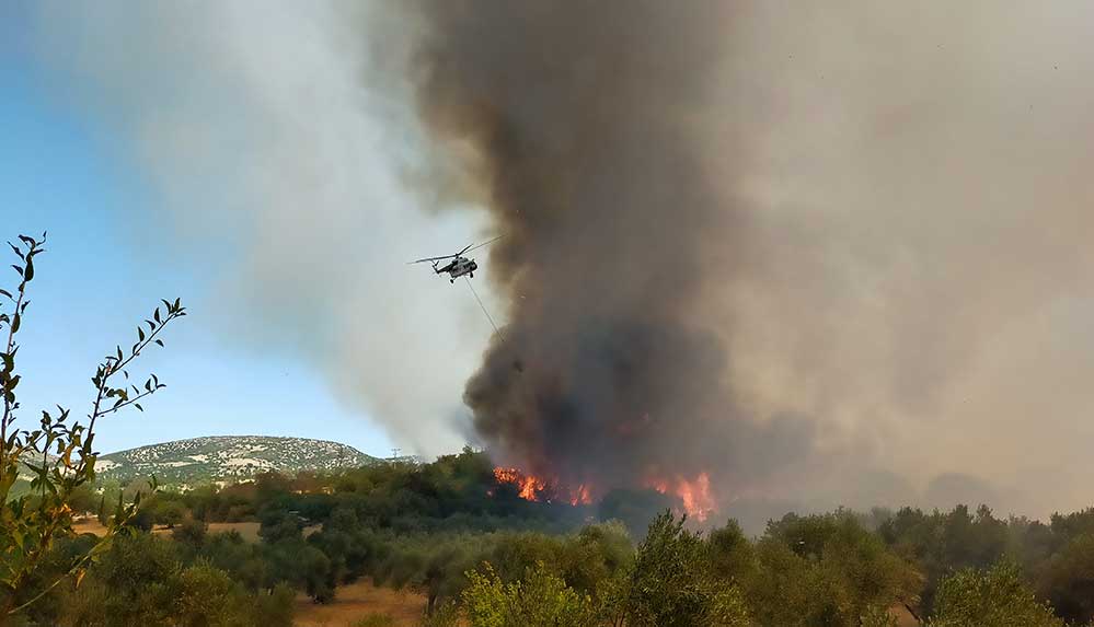 Çanakkale'nin Ezine'de orman yangını
