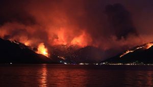 Sabah yazarı Tezel: Türkiye uçaksız bile yangın söndürmede lider ülke