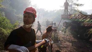 Orman yangınlarından etkilenen yerler için mücbir sebep hali ilan edildi