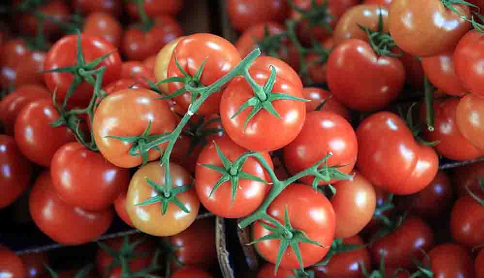 Yaş meyve sebze ihracatı son 12 ayda 3 milyar doları aştı