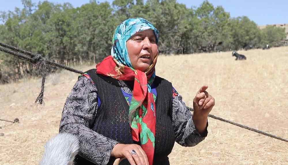 Yörük Pervin Çoban Savran’ın orman yangını konuşması sosyal medyanın gündemine oturdu: “Kibrit çakmadan yangın çıkacak vaziyete gelmiştir”