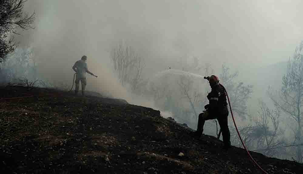 Yunanistan’da orman yangınlarında 1 milyon 300 bin dönümlük alan kül oldu