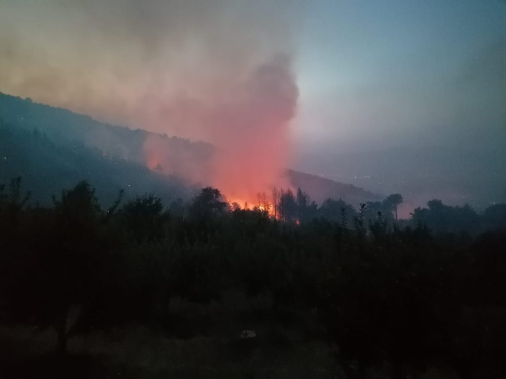 Aydın'da iki mahallede yangın çıktı, evinde mahsur kalan kişi kurtarıldı