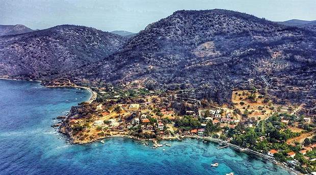 Gökova'nın yeşili siyaha döndü