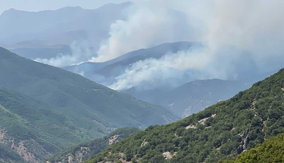 CHP Tunceli'de yangın bölgesine gidiyor