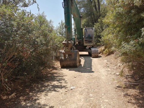 Akbelen Ormanı'nda yangın bahanesiyle ağaç talanı