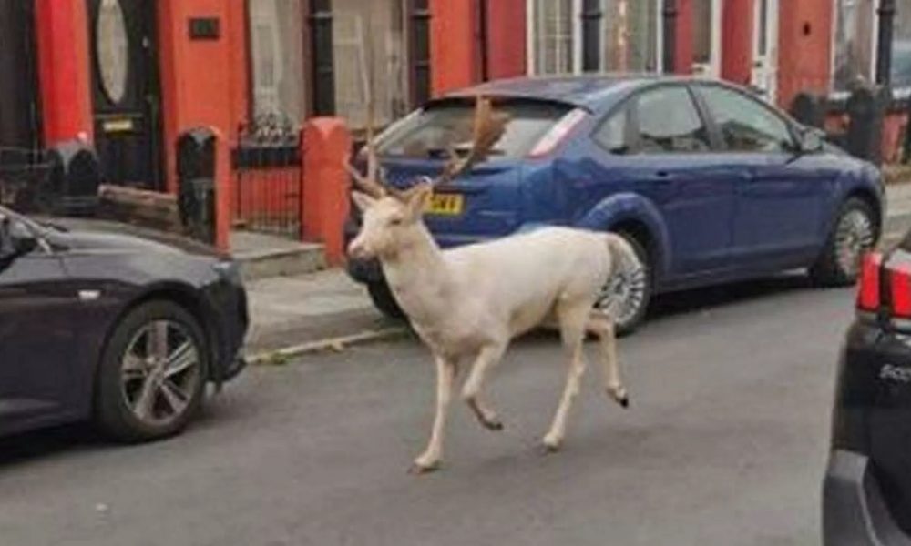 1049320825_0_0_640_360_1920x0_80_0_0_2e272d174529870f0792500df6e5e385