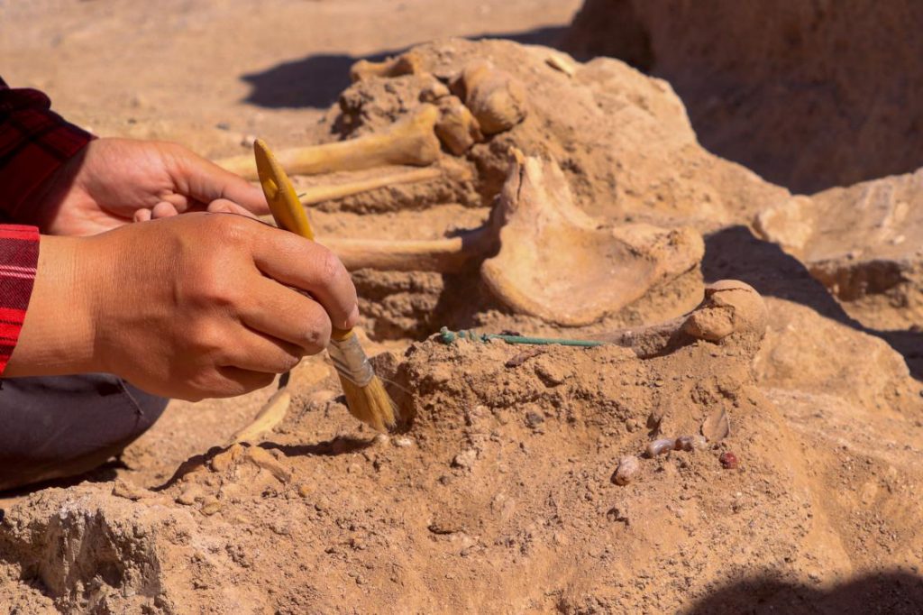 Çavuştepe Kalesi'nde takıları ve iki mührüyle gömülen kadın yöneticinin mezarı ortaya çıkarıldı