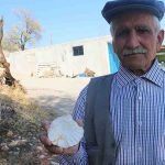 Adıyaman’da köylüler 65 milyon yıllık fosil buldu