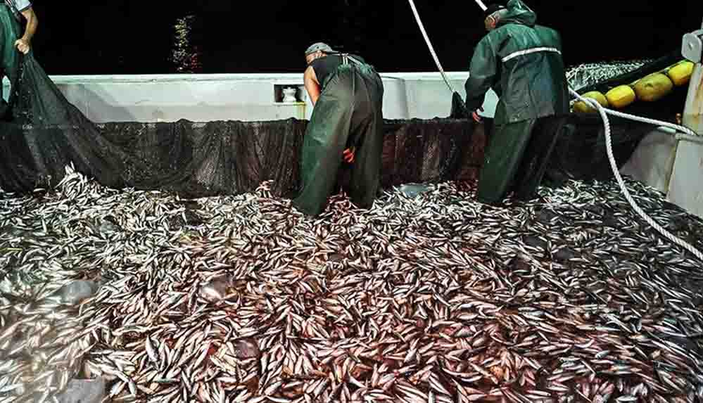 Balıkçılar ilk ağlarını çekti