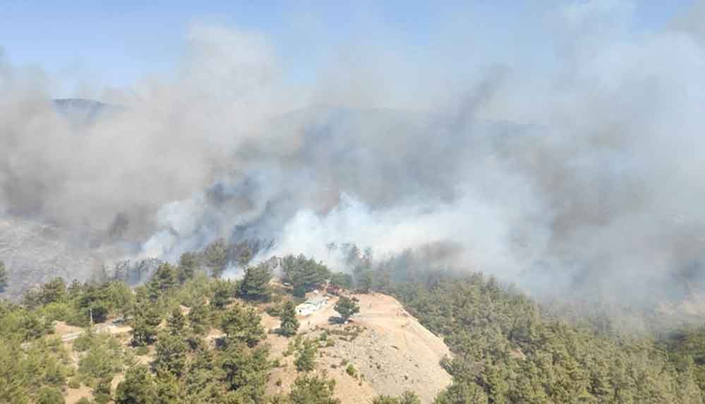 Bodrum'da-çıkan-orman-yangınına-müdahale-ediliyor