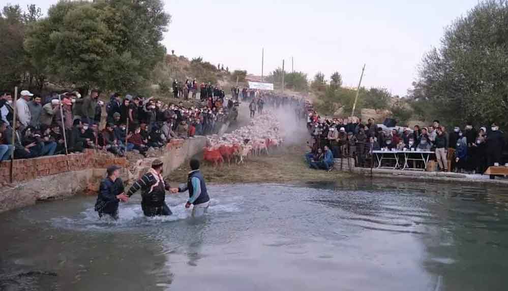 Burdur'da 750 yıllık 'sudan koyun geçirme' geleneği renkli görüntülere sahne oldu