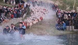 Burdur'da 750 yıllık 'sudan koyun geçirme' geleneği renkli görüntülere sahne oldu