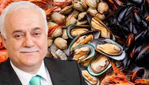Diyanet 'haram' demişti; Nihat Hatipoğlu'ndan deniz ürünleri açıklaması: Deniz ürünlerine haram demek sakıncalı