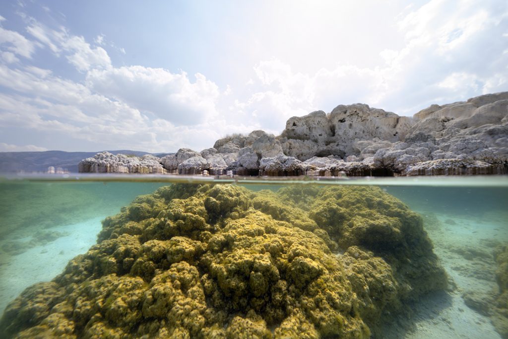 Salda Gölü'nün su altı zenginliği görüntülendi