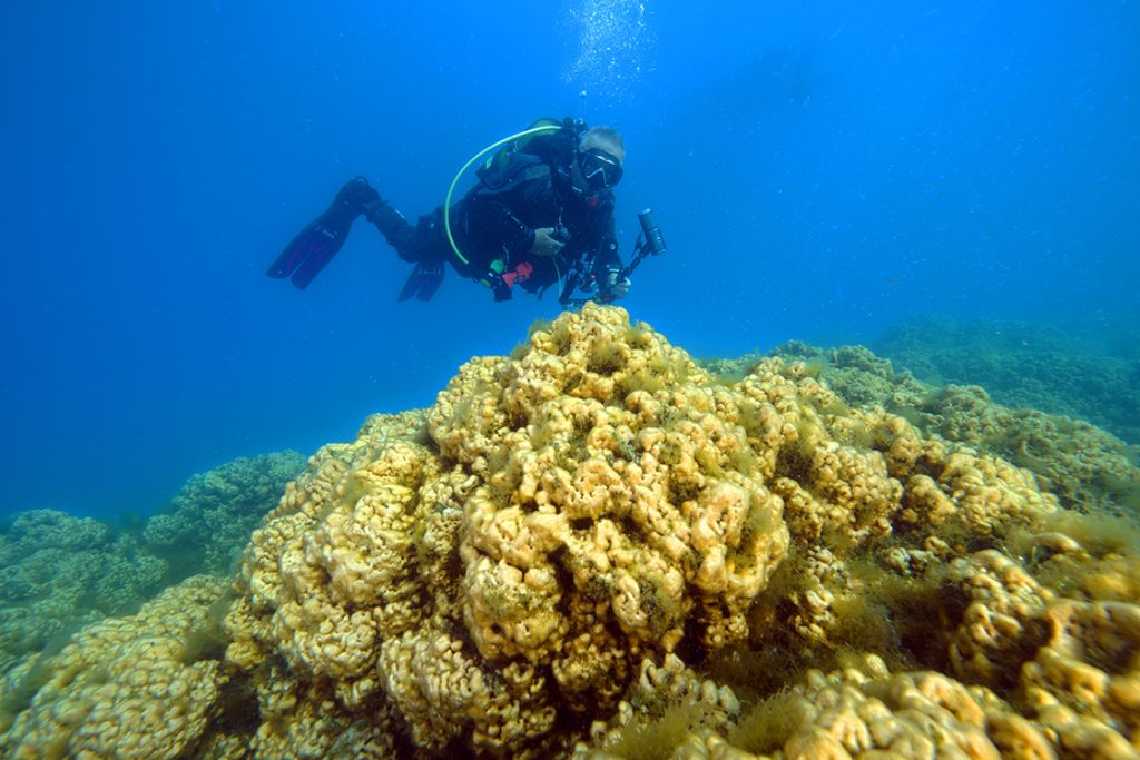 Salda Gölü'nün su altı zenginliği görüntülendi