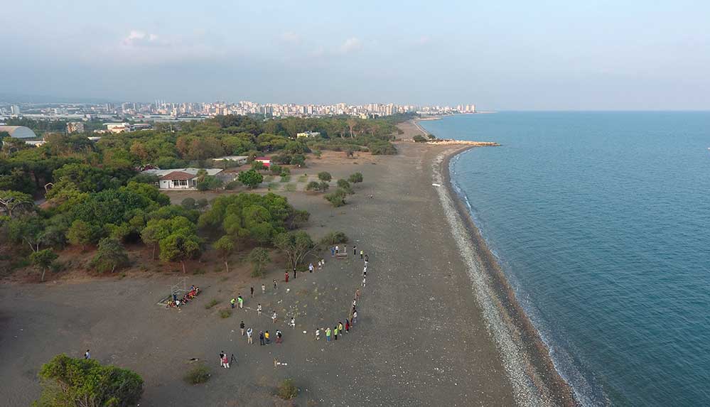 Erdemli-Belediyesi,-kum-zambaklarını-korumak-için-çevreciler-ve-belediyenin-kurslarında-eğitim-gören-gençlerle-birlikte-sahilde-etkinlik-düzenledi.