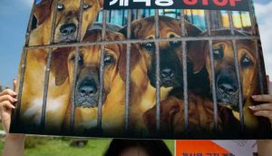Güney Kore’de köpek eti tüketiminin yasaklanması gündemde