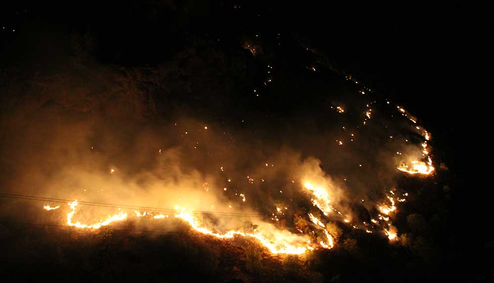 Şemdinli'de orman yangını