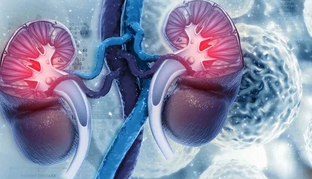 İdrar yolu enfeksiyonu böbrek yetmezliğine yol açabiliyor