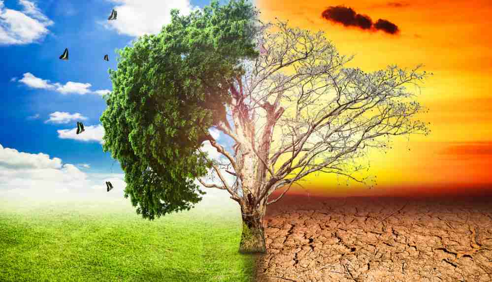 İklim sözlüğü: Krizi ve çözüm önerilerini anlamak için bilmeniz gereken 15 kavram