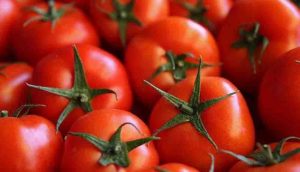 Rusya’dan Türkiye’den alınan domateslerle ilgili açıklama: Virüs görüldü