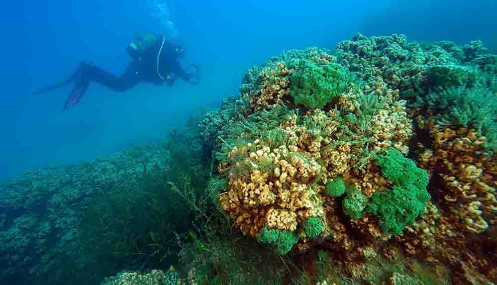 Salda Gölü'nün su altı zenginliği görüntülendi