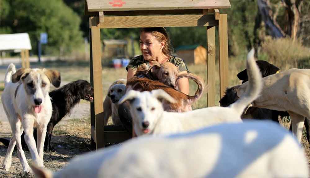 Sokak-hayvanlarına-bakabilmek-için-terzi-dükkanını-kapattı
