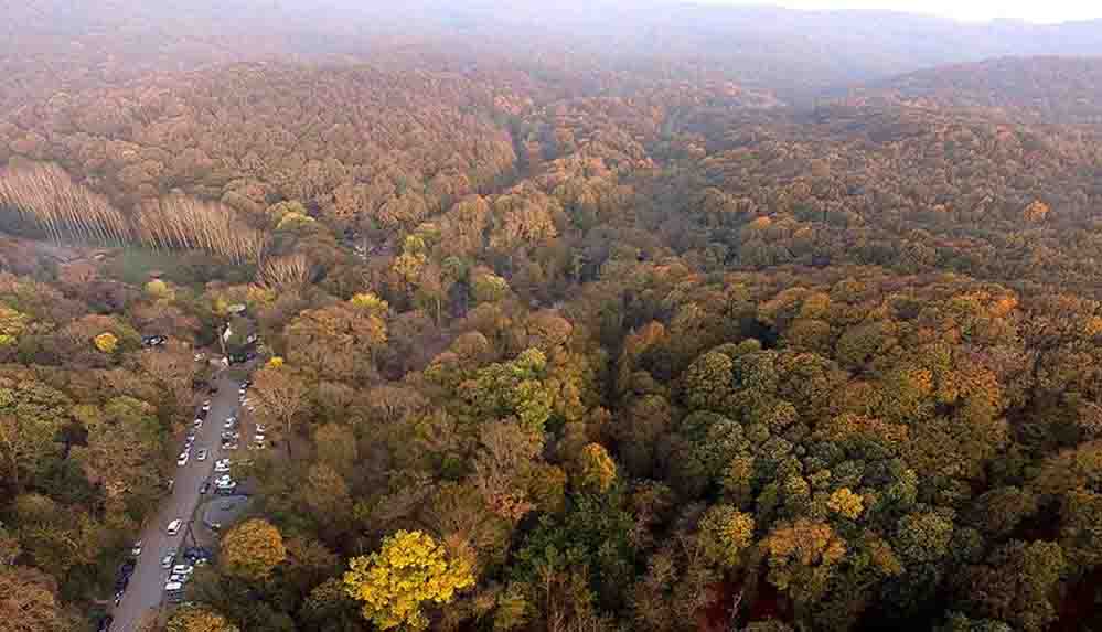Son Dakika... İstanbul'da ormanlara giriş yasağı 1 ay daha uzatıldı