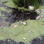 Tunca Nehri'ndeki kirlilik doğal yaşamı olumsuz etkiliyor