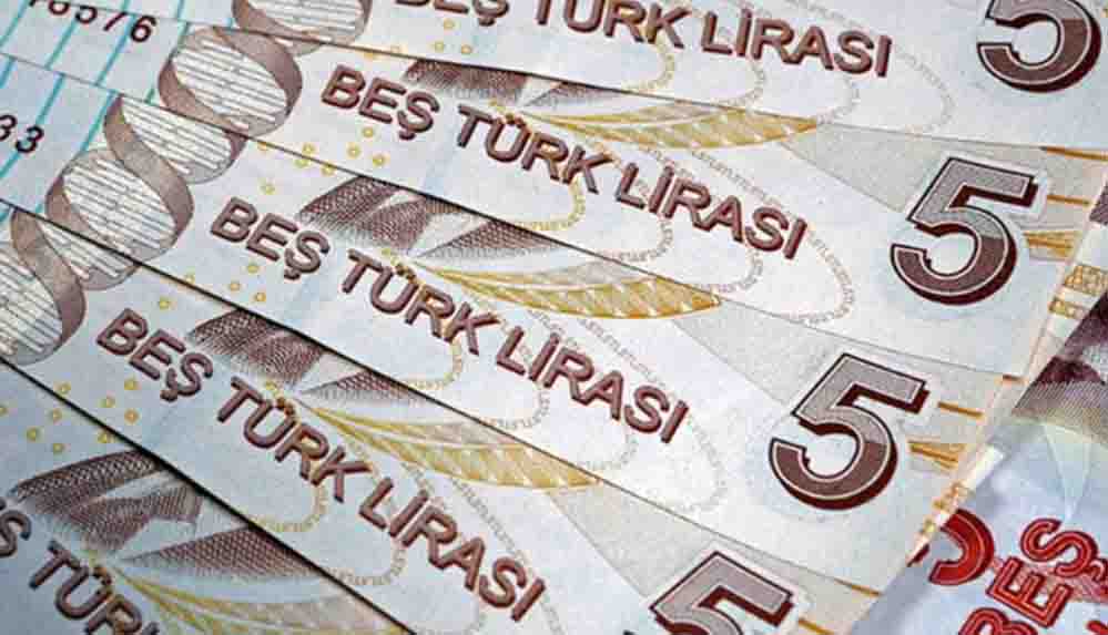 Yeni dönem 20 TL ve 5 TL'lik banknotlarda değişiklik