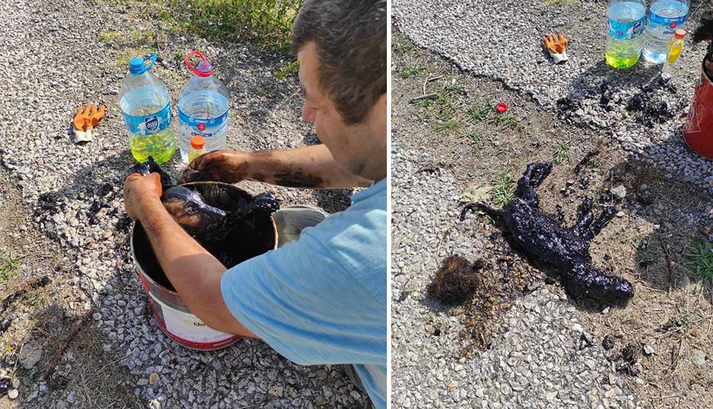 Zifte yapışan 3 köpek yavrusu hayvansever öğretmenin sayesinde kurtarıldı