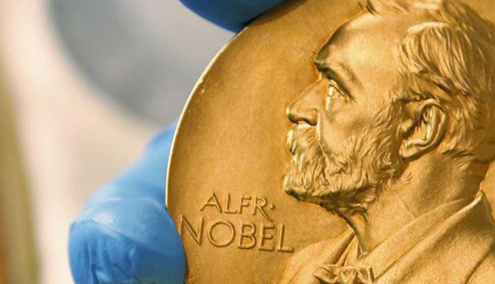 2021 Nobel Tıp Ödülü'nün sahipleri belli oldu