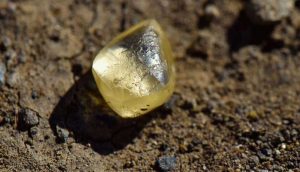 Parkta dolaşırken 4,38 karatlık elmas buldular