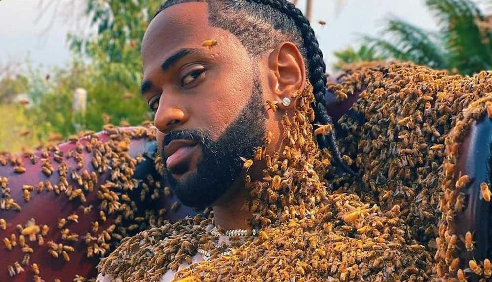 ABD'li-rapçi-Big-Sean-yeni-şarkısı-için-65-bin-arıyla-kamera-karşısına-geçti.