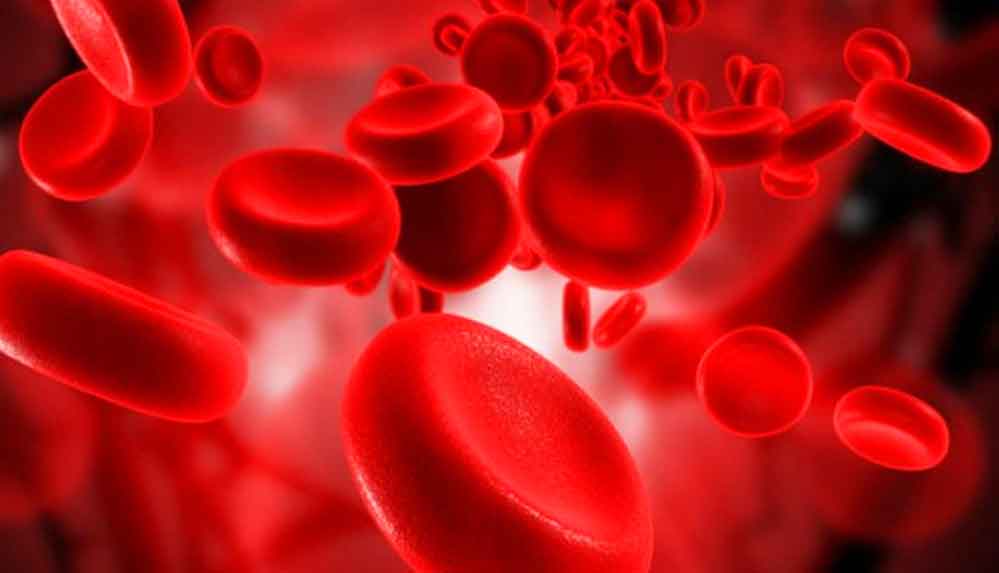 Araştırma ortaya çıkardı: En sağlıklı kan grubu hangisi?
