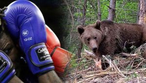 Ayıyla dövüşen Rus boksör Ilya Medvedev'in durumu ağır