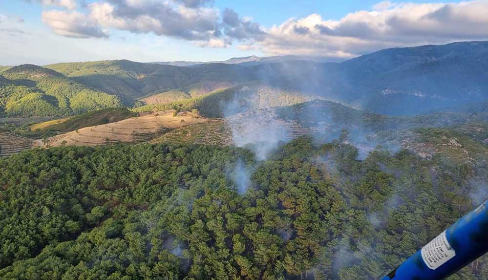 Balıkesir'in Edremit ilçesinde çıkan orman yangını kontrol altına alındı