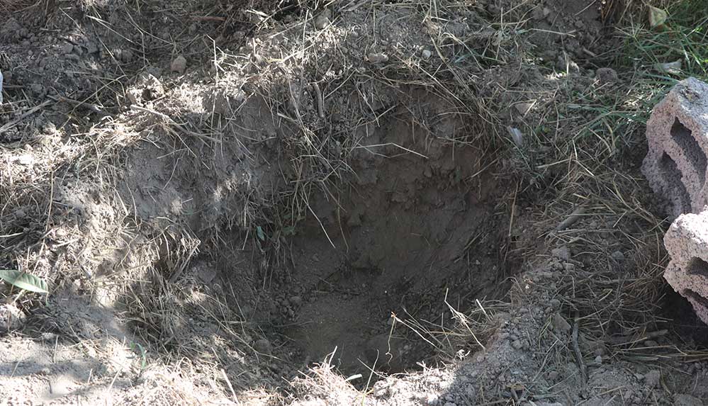 Kayseri'de ölen köpeğin gömüldüğü çukur cinayet şüphesiyle açıldı