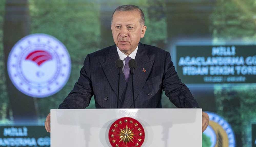 Cumhurbaşkanı Erdoğan: "Kültürümüz, canlıların tamamına karşı sevgi ve şefkatle yaklaşmamızı öğütler"