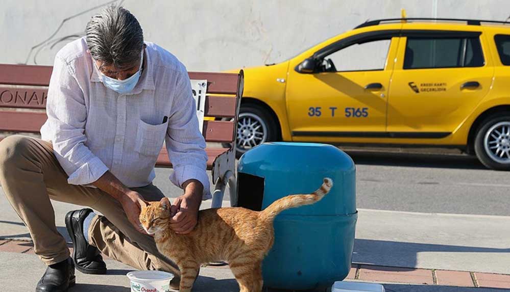 İzmirli taksici 'mama kutusu'nda biriken parayla kedilere bakıyor