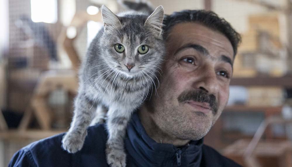Dondurucu soğukların yaşandığı Erzurum'da sokakta yaşayan hayvanlara "sıcak yuva" imkanı
